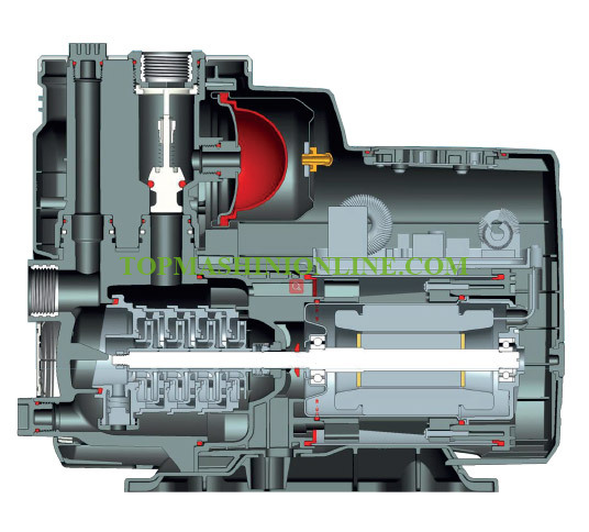 Хидрофорна система Leo MAC 550 550 W, напор 42 м, 1” image