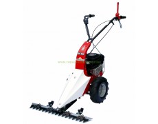 Палцова косачка Eurosystems M85 87 см, B&S 4.8 HP, 1 предна скорост thumbnail image